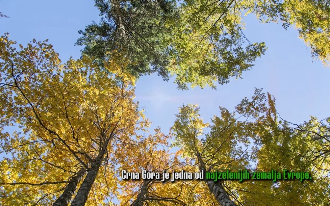 Pozicioni papir o zaštiti prirode